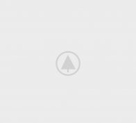wood-gallery-placeholder-5 wood-gallery-placeholder-5