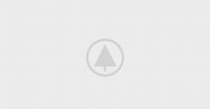 wood-gallery-placeholder-5 wood-gallery-placeholder-5
