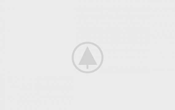 wood-gallery-placeholder-5 wood-gallery-placeholder-5