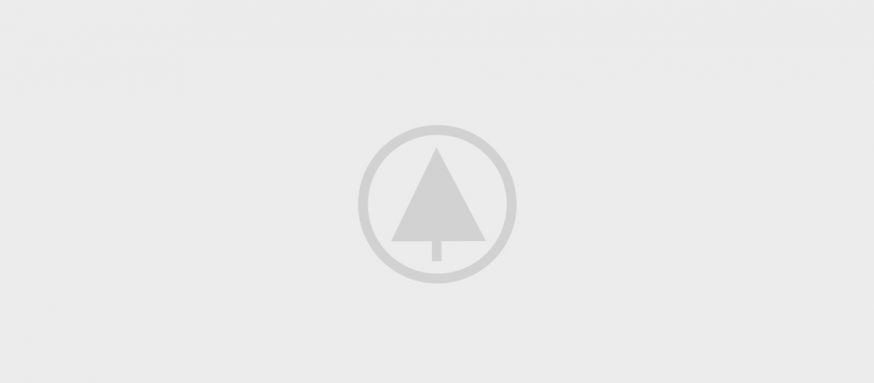 wood-gallery-placeholder-5 wood-gallery-placeholder-5