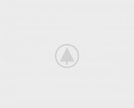 wood-portfolio-placeholder wood-portfolio-placeholder